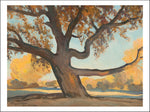 Old Tree by Maynard Dixon, Classic American Western Art, 16x12" (A3) Poster Print