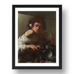 Michelangelo Merisi da Caravaggio: Boy bitten by a Lizard, Poster in 17x13"(A3) Frame