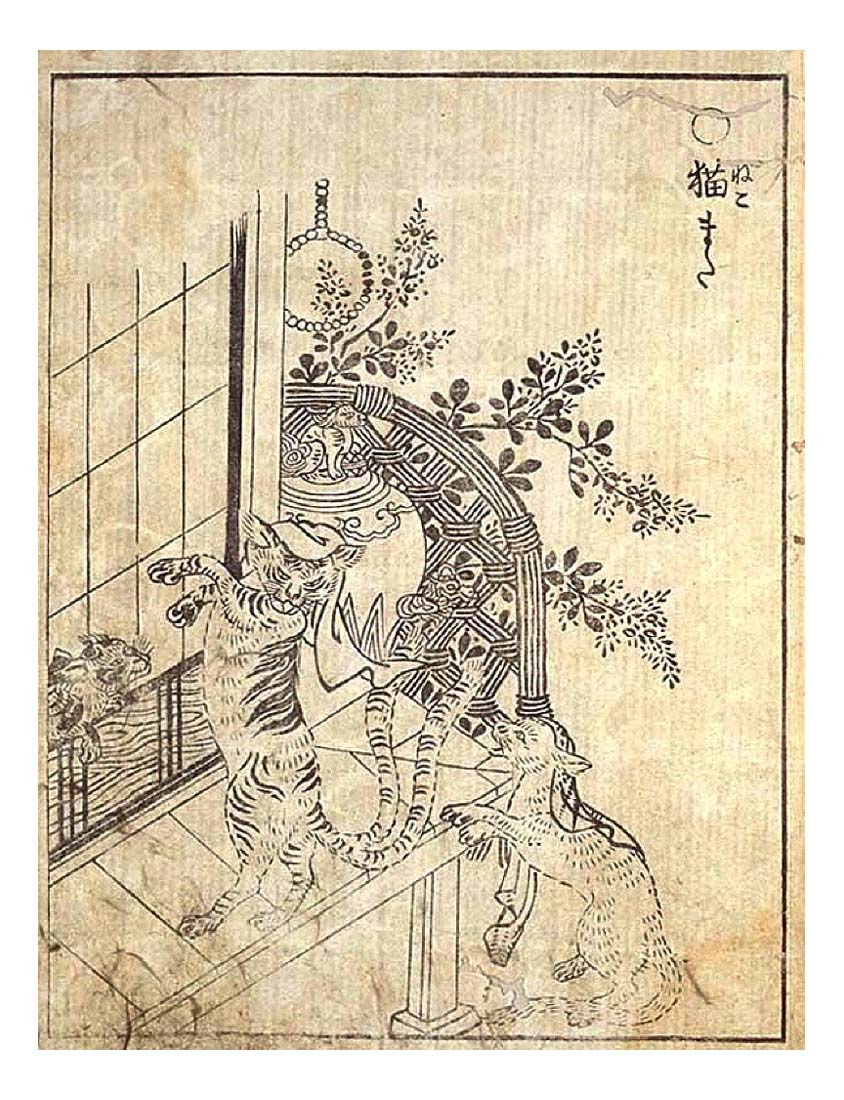 Nekomata2-6x4, historic, vintage ukiyo-e Japan artwork,12x8"(A4) Poster Print