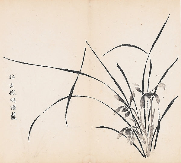 Shizhuzhai shuhua pu,Orchids in Rain, after Wen Zhengming, Lea,16x12"(A3)Poster
