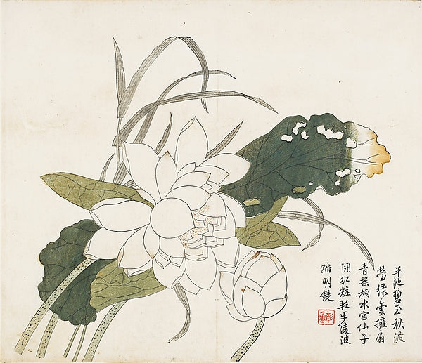 Jiezi yuan huazhuan,Lotus Flowers, Leaf from the Mustard Seed,16x12"(A3)Poster