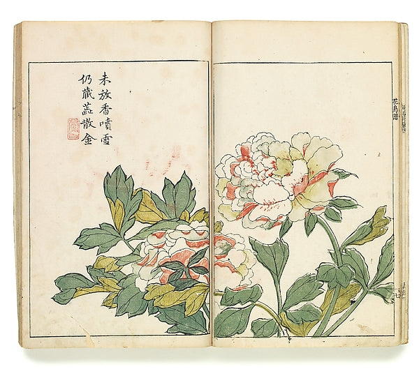Jieziyuan shuhuapu,Two Peonies, Leaf from the Japanese edition,16x12"(A3)Poster