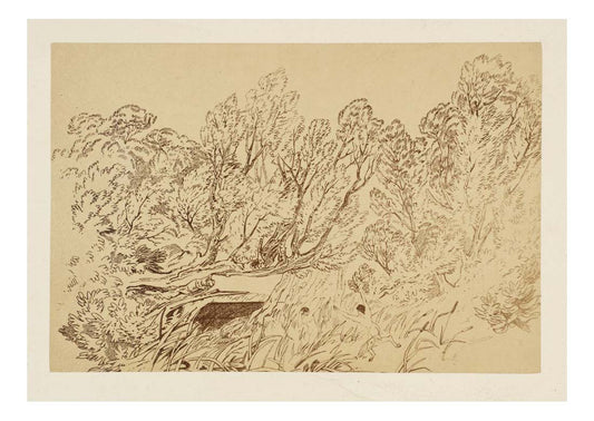 Pan and Syrinx by John Mallord William Turner RA