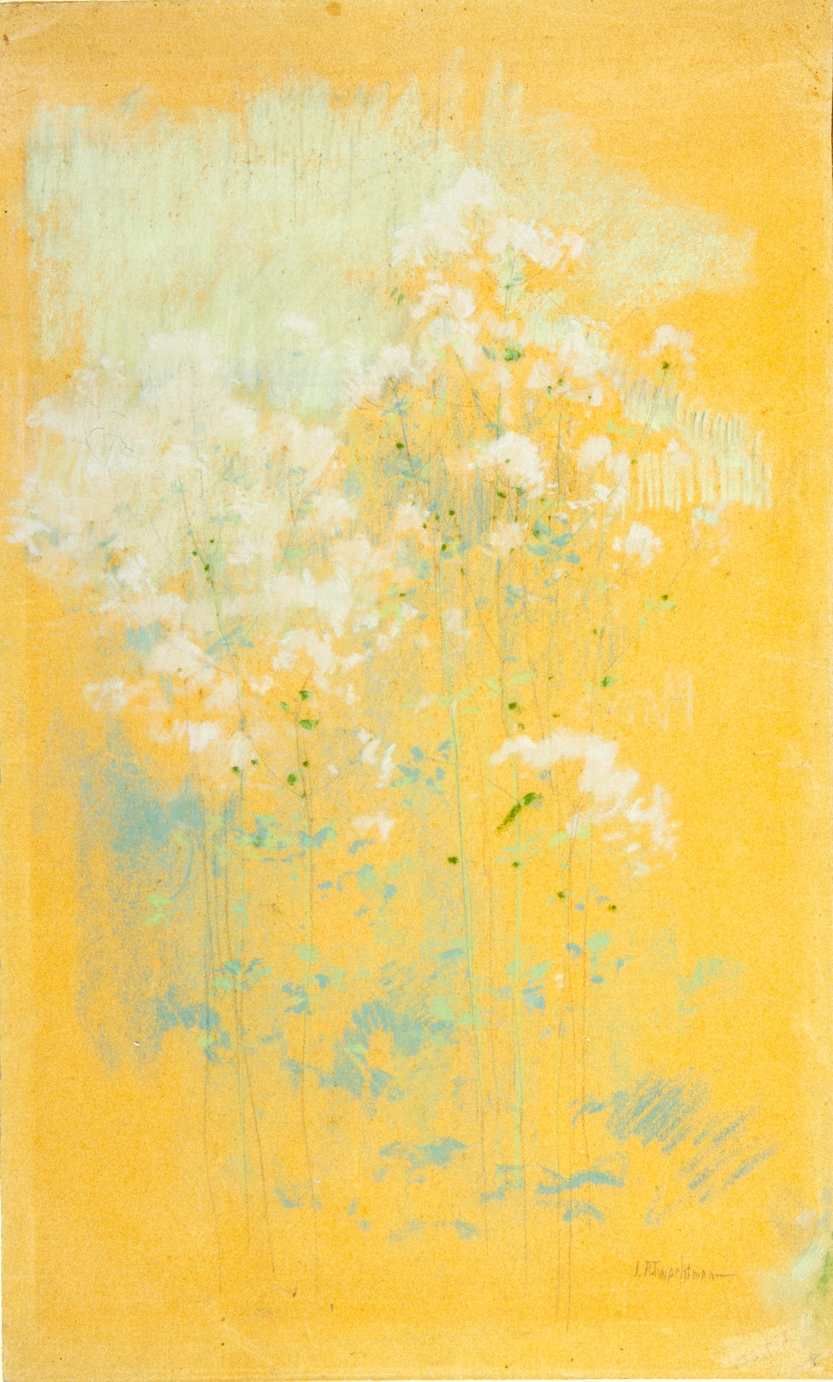 John Henry Twachtman:Wild Flowers,16x12"(A3)Poster