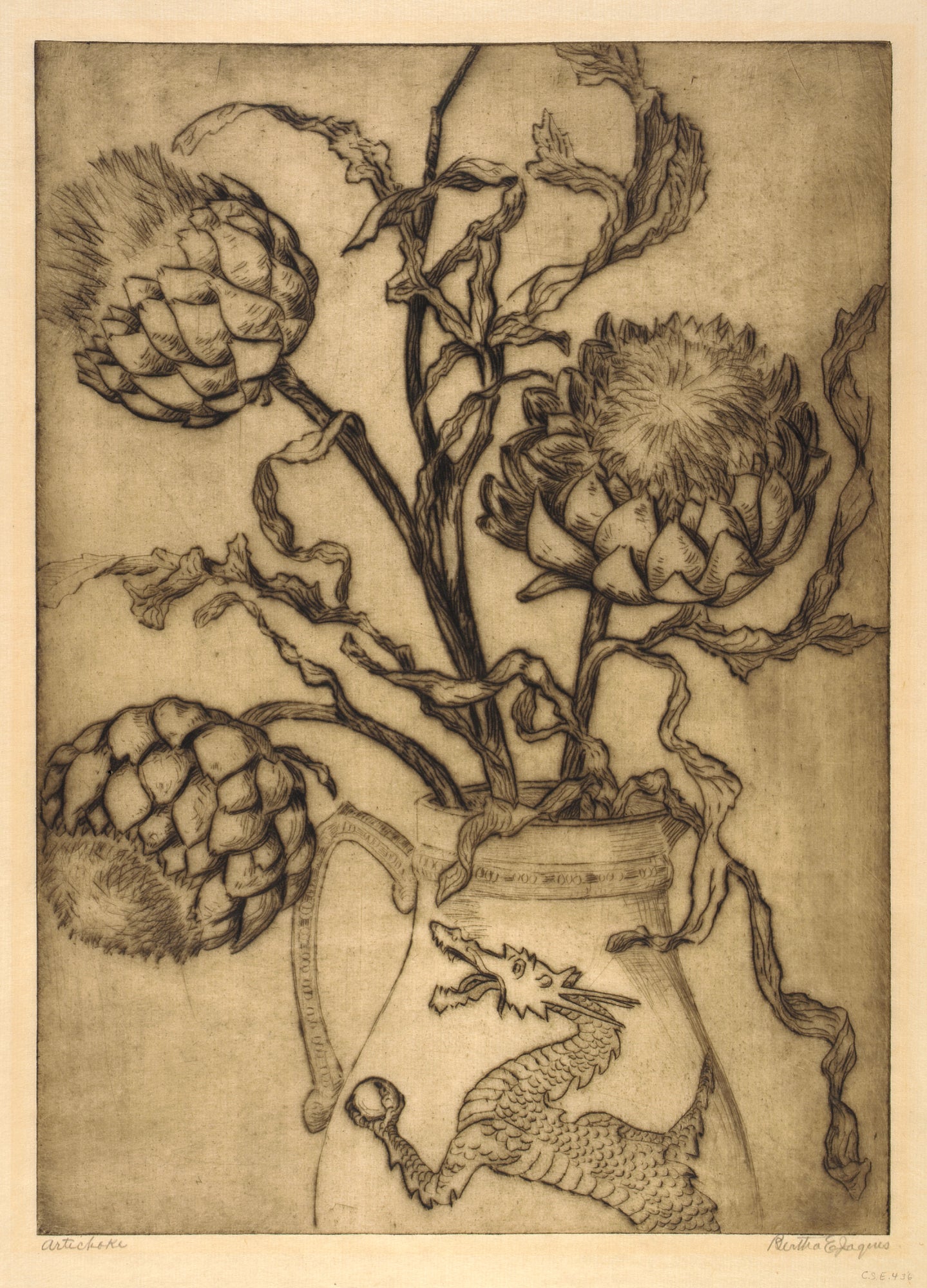 Bertha E. Jaques:Artichoke,16x12"(A3)Poster