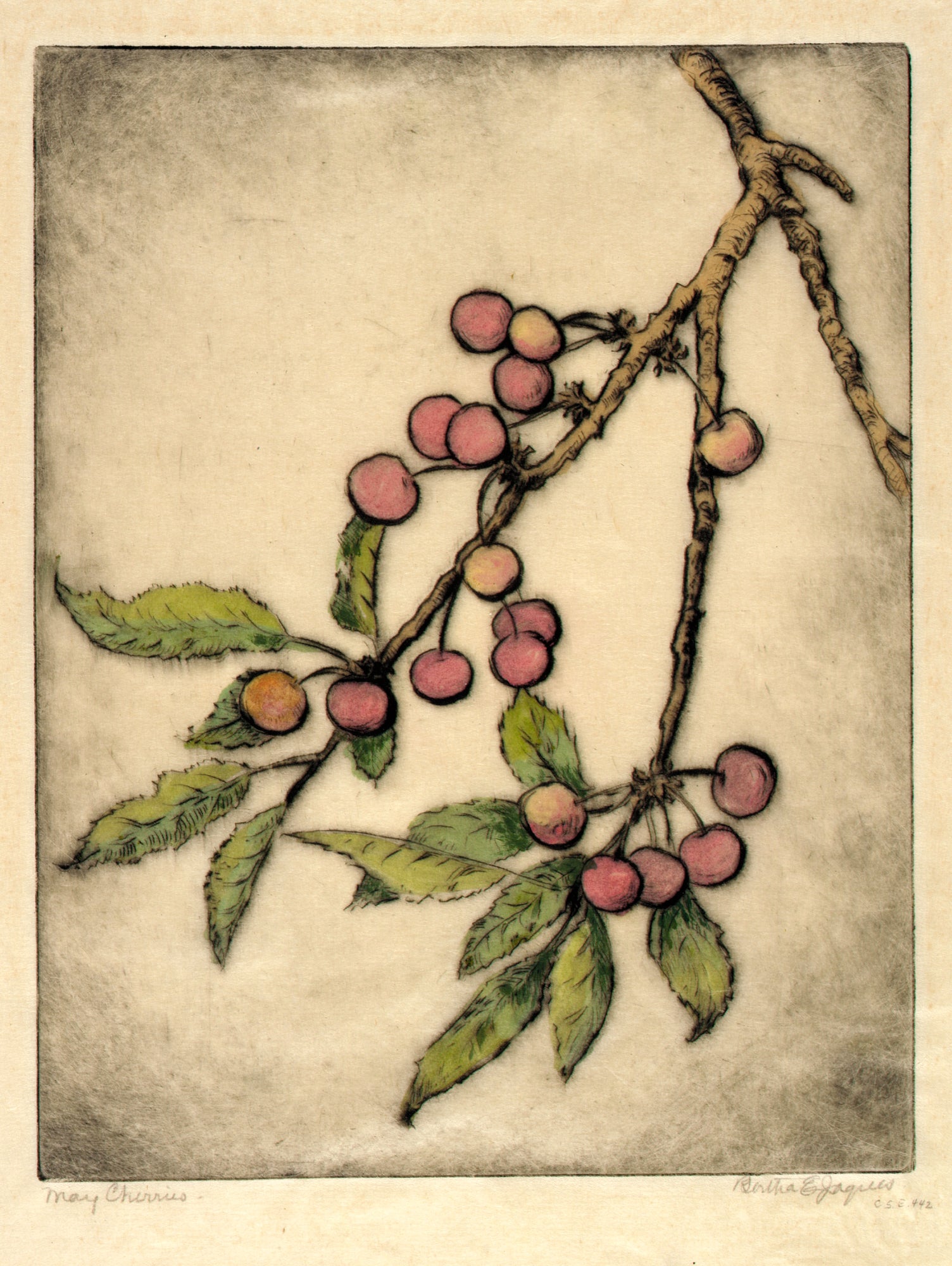 Bertha E. Jaques:May Cherries,16x12"(A3)Poster
