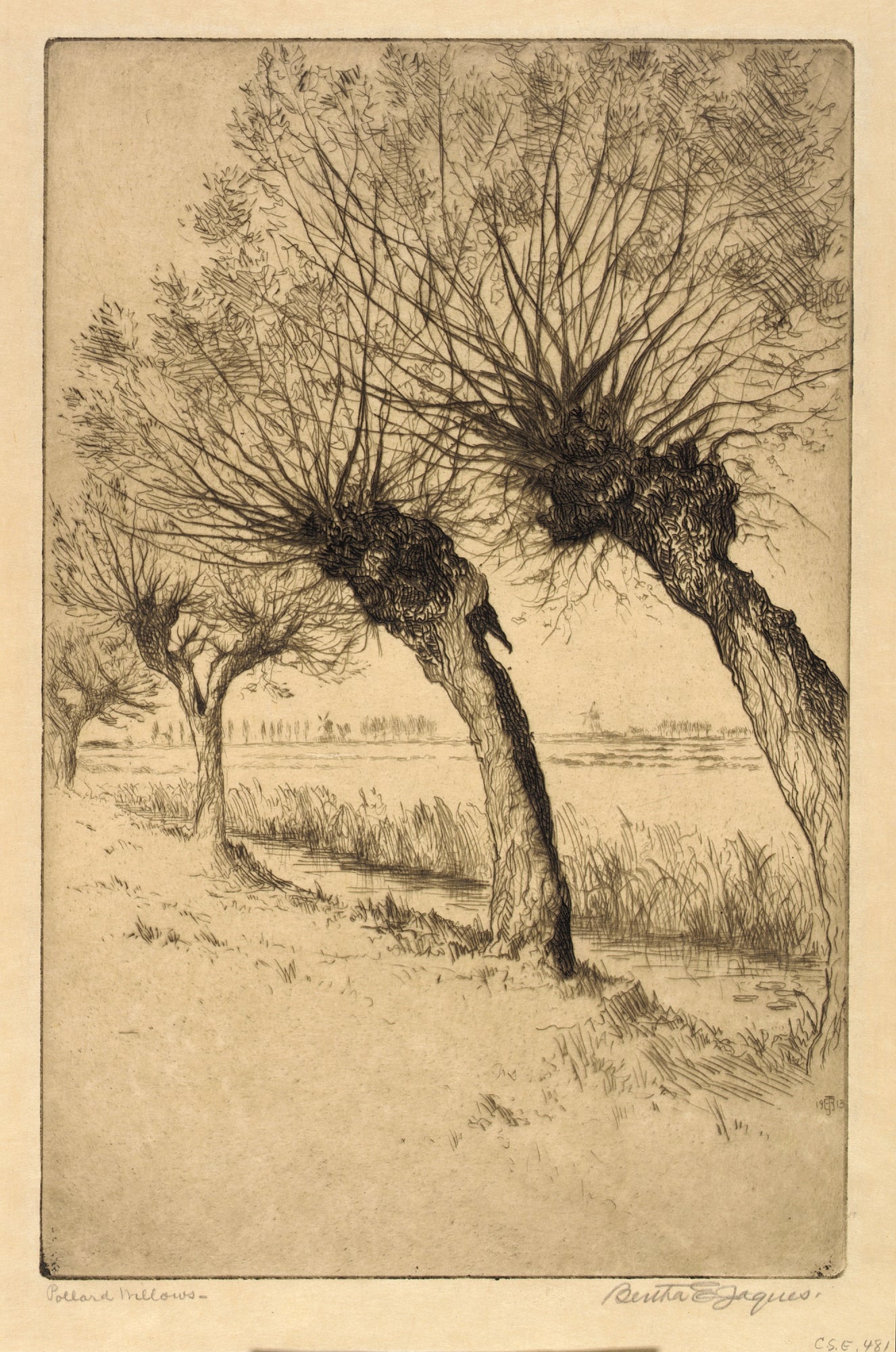 Bertha E. Jaques:Pollard Willows, Rijsord, Holland,16x12"(A3)Poster