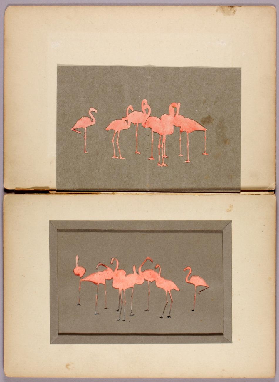 Abbott Handerson Thayer:Flamingoes, study folder for book Co,16x12"(A3)Poster