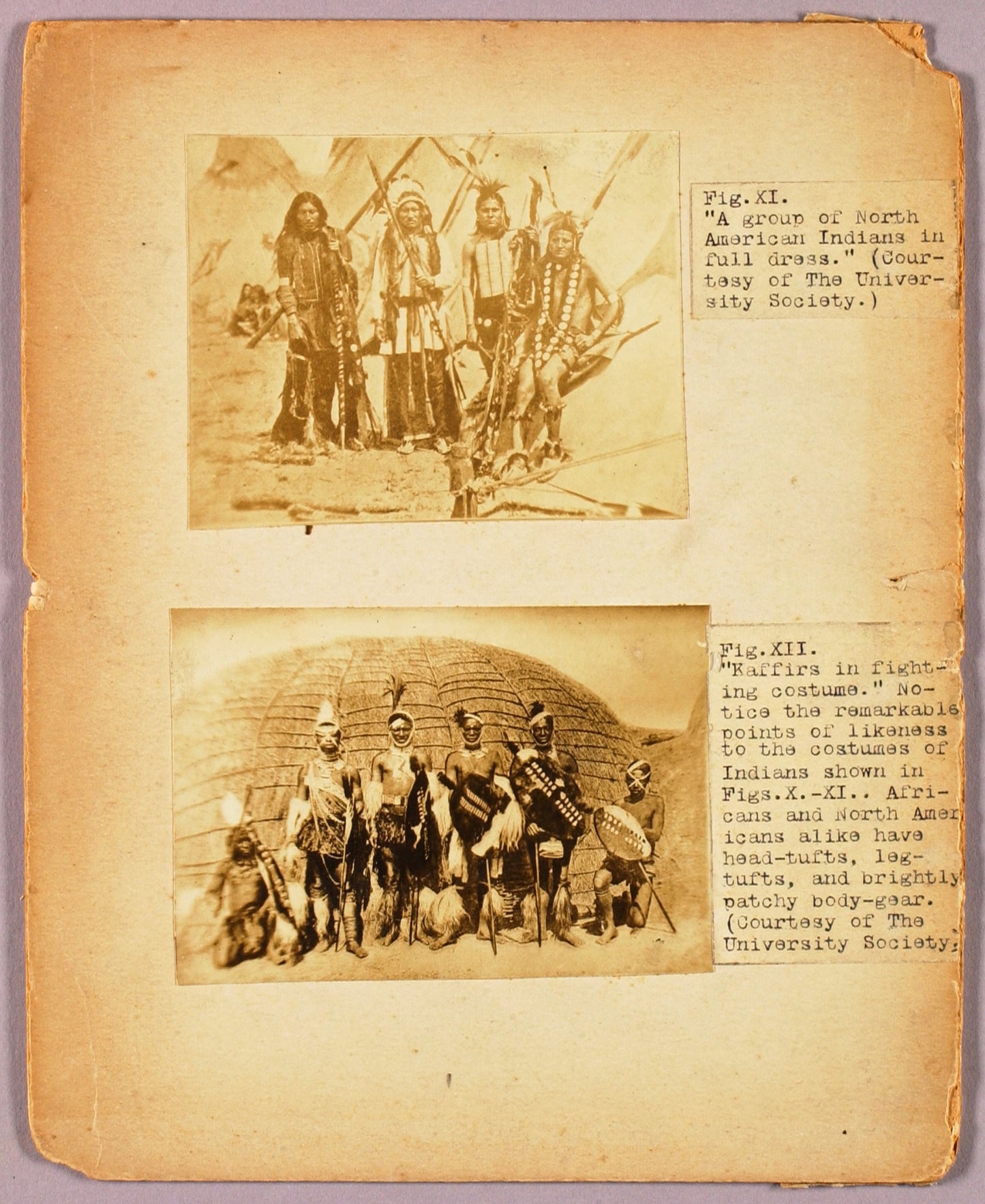 Abbott Handerson Thayer:Fig. XI "A group of North American I,16x12"(A3)Poster