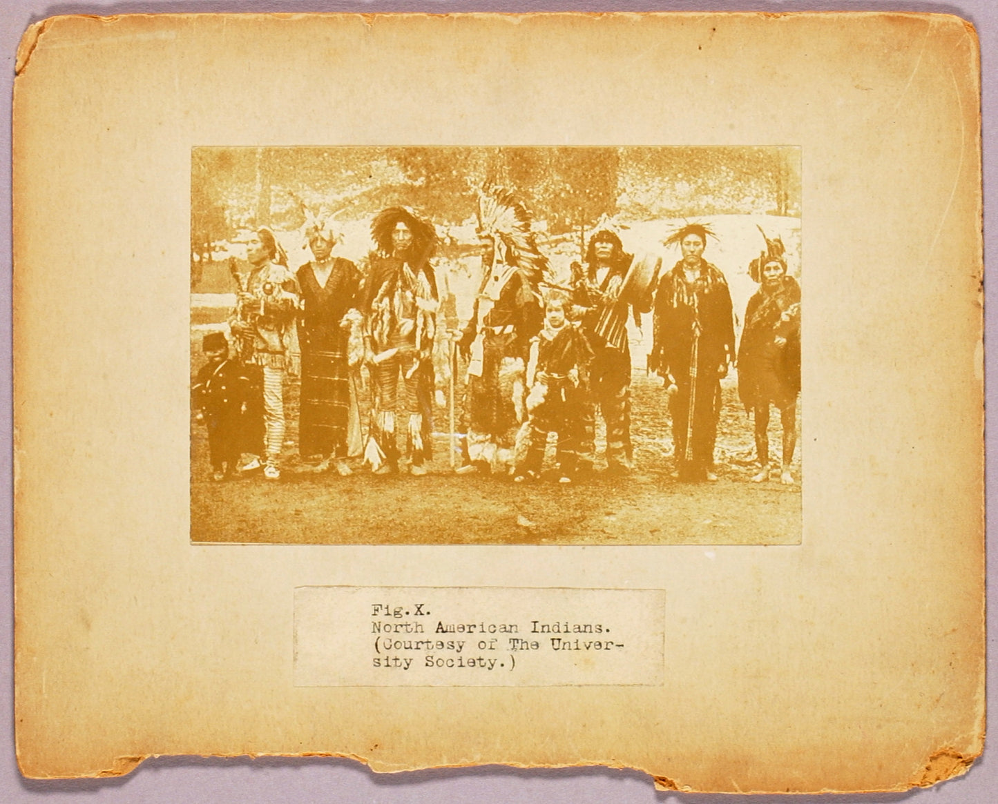 Abbott Handerson Thayer:Fig. X "North American Indians...", ,16x12"(A3)Poster