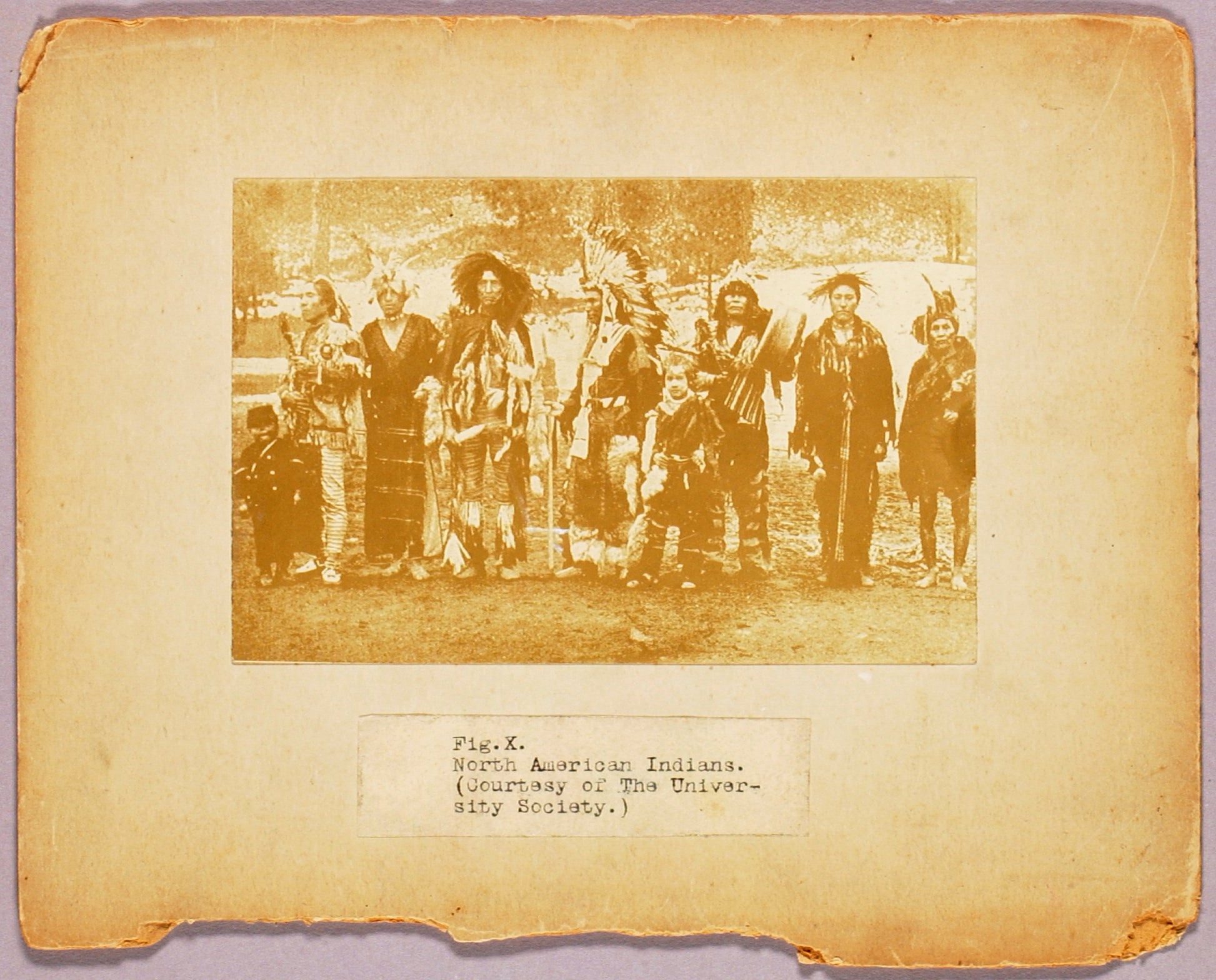Abbott Handerson Thayer:Fig. X "North American Indians...", ,16x12"(A3)Poster