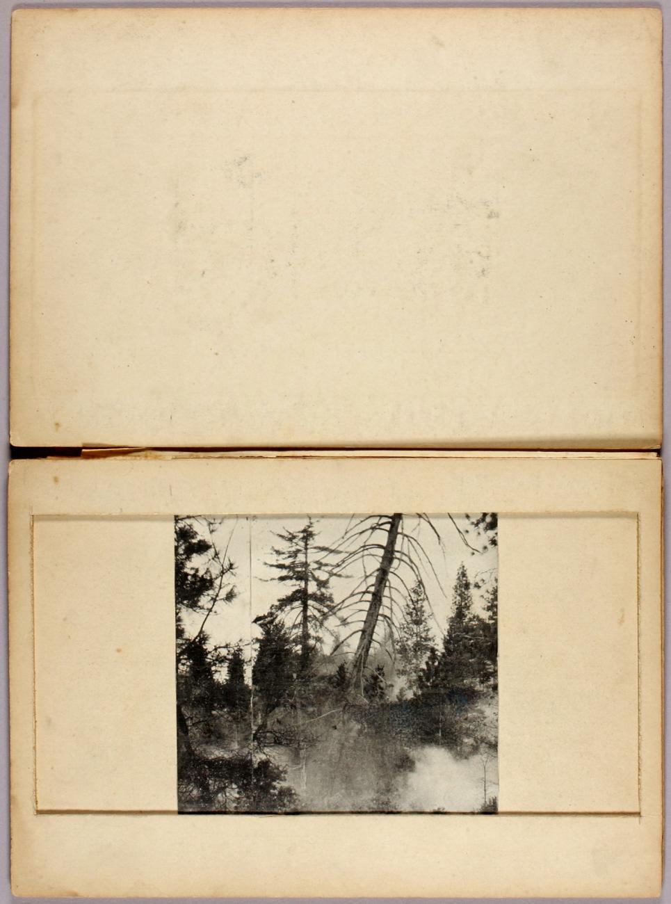 Abbott Handerson Thayer:Moving Deer, study folder for book C,16x12"(A3)Poster
