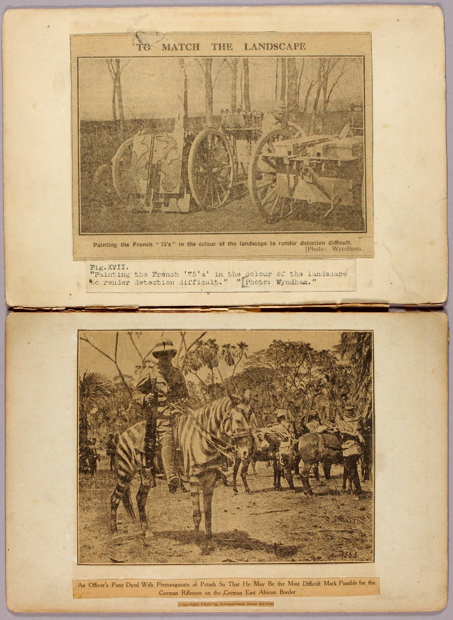 Abbott Handerson Thayer:"...for War Horses and Cannon Carria,16x12"(A3)Poster