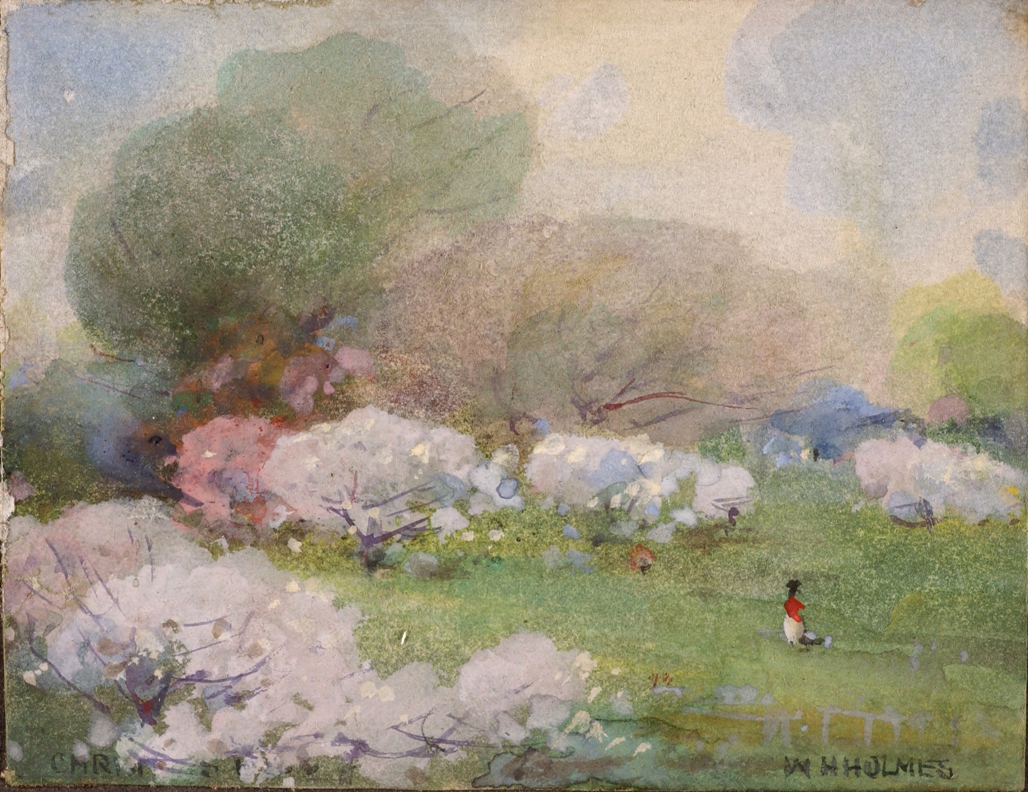 William Henry Holmes:Cherry Blossoms,16x12"(A3)Poster