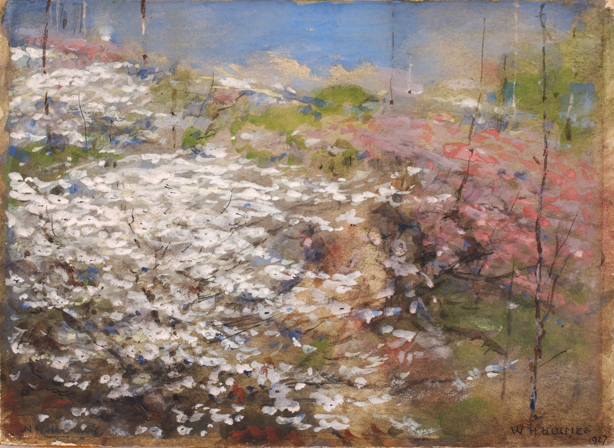 William Henry Holmes:Field of Blossoms,16x12"(A3)Poster