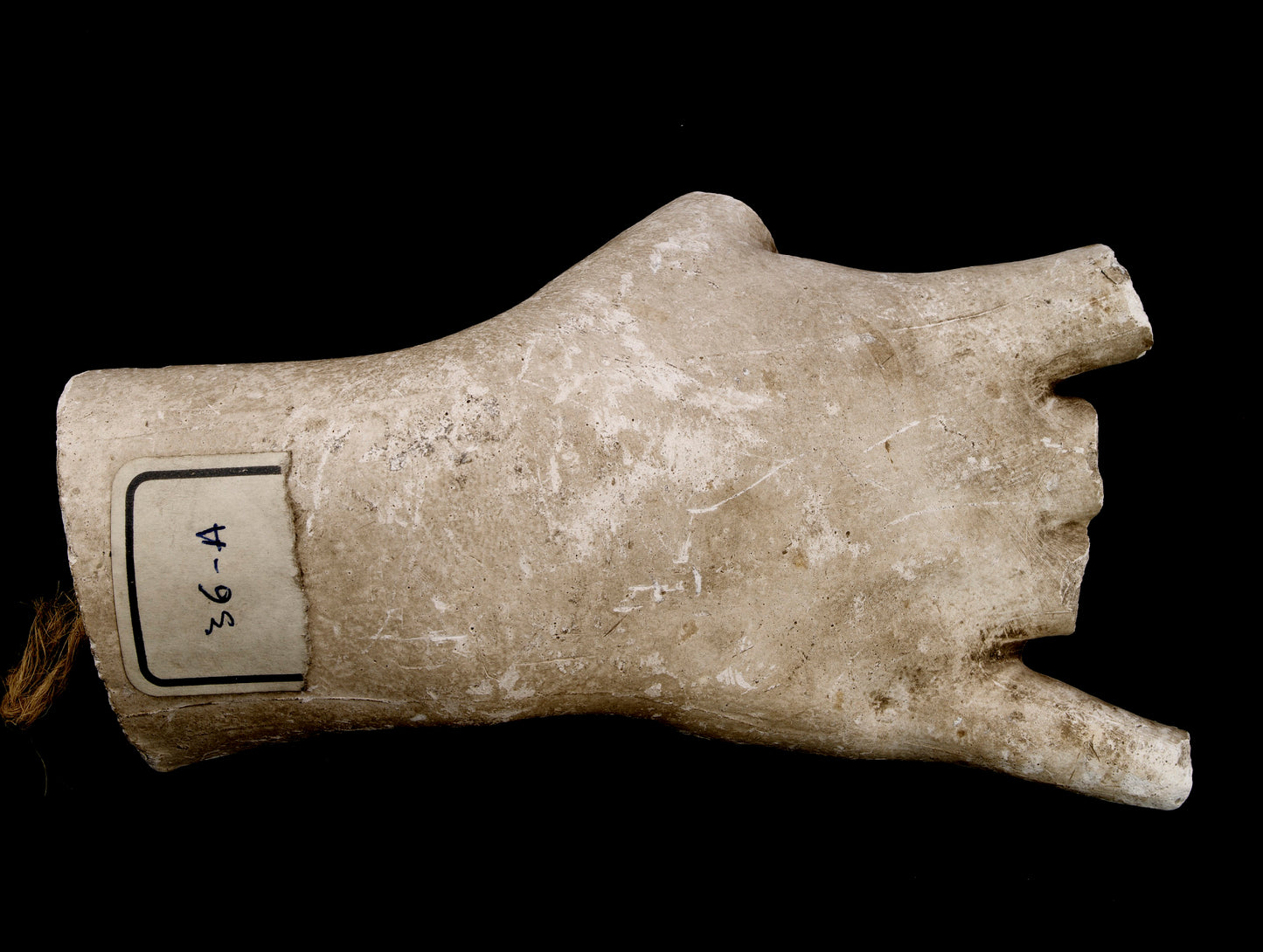 Hiram Powers:Cast of an Unidentified Right Hand, Shown Open ,16x12"(A3)Poster