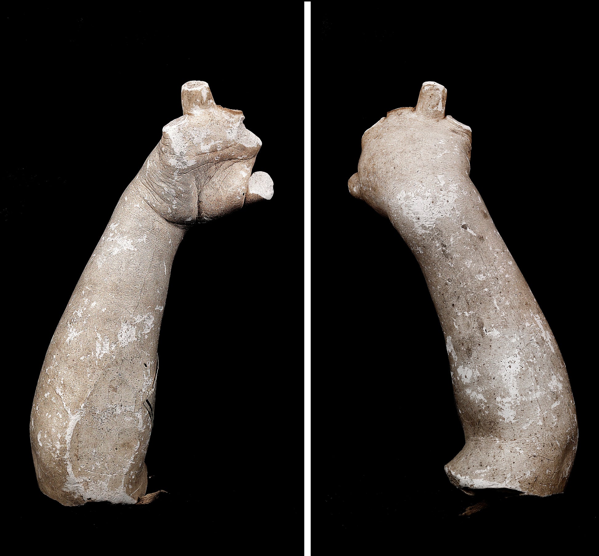 Hiram Powers:Cast of an Unidentified Baby's Right Hand and F,16x12"(A3)Poster