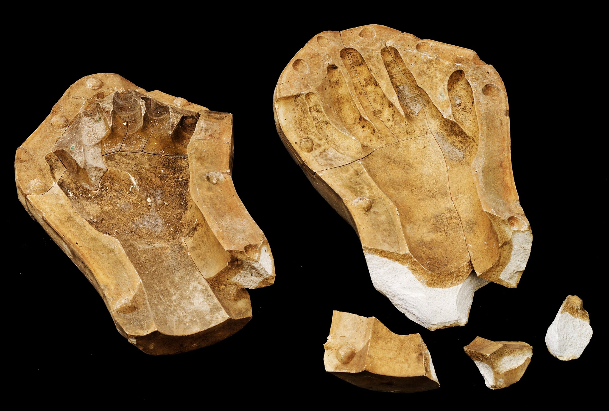 Hiram Powers:Mold of a Child's Hand,16x12"(A3)Poster