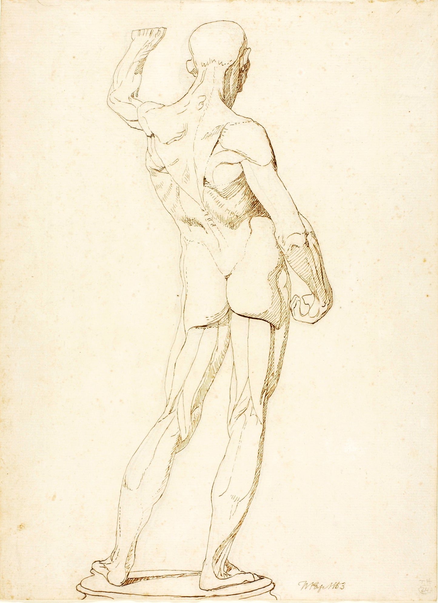 William Page:(An Ecorche, Rear View),16x12"(A3)Poster