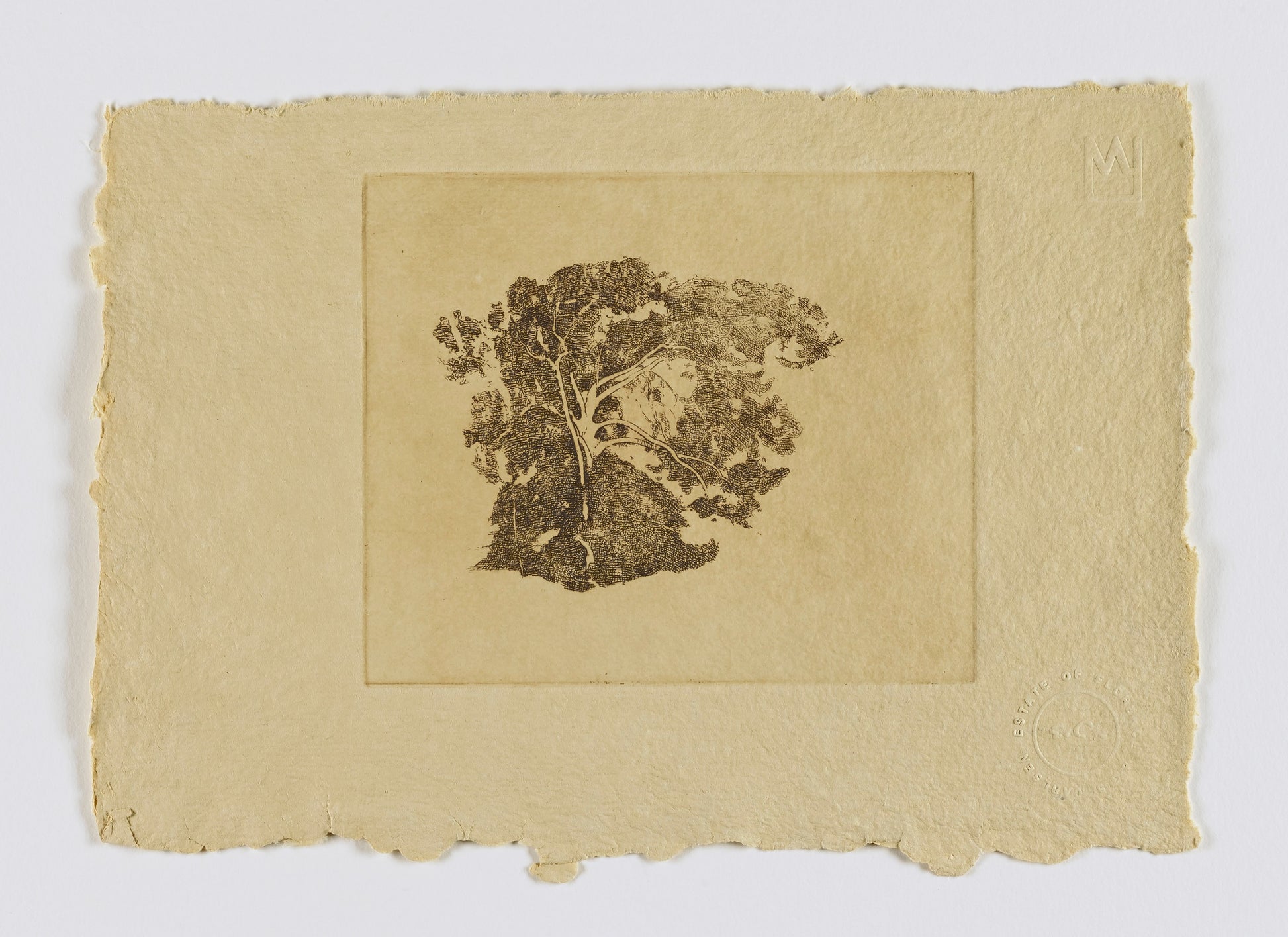 Emil Carlsen:Tree Study (fm. portfolio),16x12"(A3)Poster
