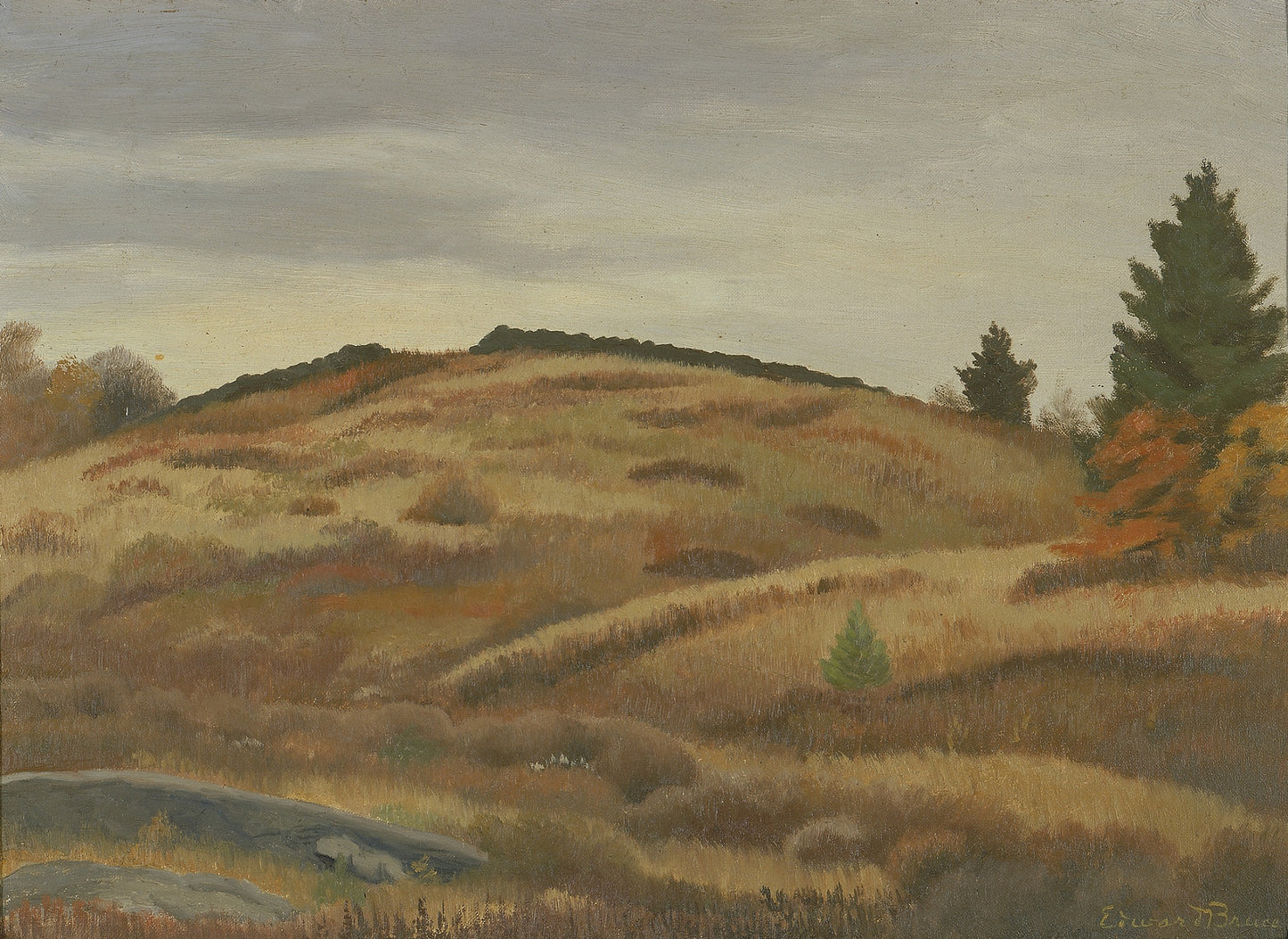 Edward Bruce:Autumn Fields,16x12"(A3)Poster
