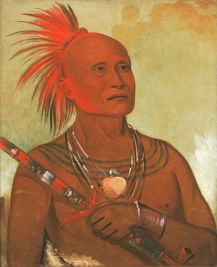 George Catlin:Pam-a-hó, The Swimmer, One of Black Hawk's Wa,16x12