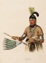 Charles Bird King:NAW-KAW. A WINNEBAGO CHIEF., from History ,16x12"(A3)Poster