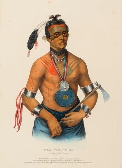 Charles Bird King:HOO-WAN-NE-KA, A WINNEBAGO CHIEF., from Hi,16x12"(A3)Poster