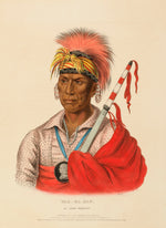 Charles Bird King:TEH-RO-HON, AN IOWAY WARRIOR., from Histor,16x12"(A3)Poster