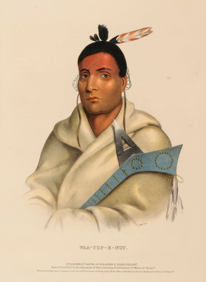 Charles Bird King:WAA-TOP-E-NOT., from History of the Indian,16x12