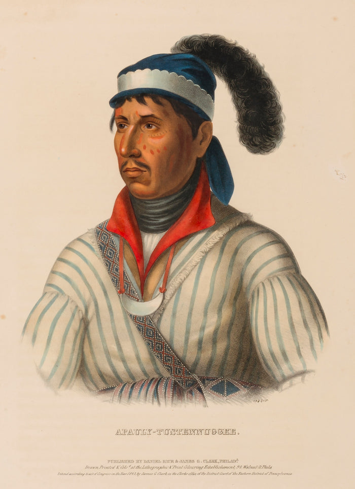 Charles Bird King:APAULY-TUSTENNUGGEE., from History of the ,16x12