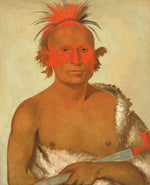 George Catlin:Pash-ee-pa-hó, Little Stabbing Chief, the You,16x12"(A3)Poster