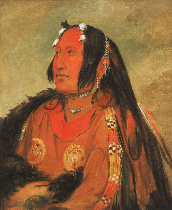 George Catlin:Wi-jún-jon, Pigeon's Egg Head (The Light), a ,16x12