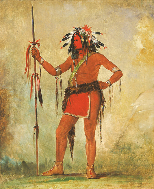George Catlin:Cáh-be-múb-bee, He Who Sits Everywhere, a Br,16x12"(A3)Poster