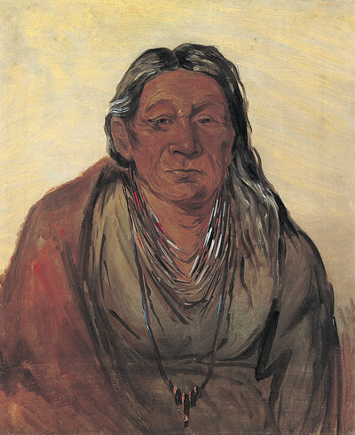 George Catlin:Wah-pe-séh-see, Mother of the Chief,16x12"(A3)Poster