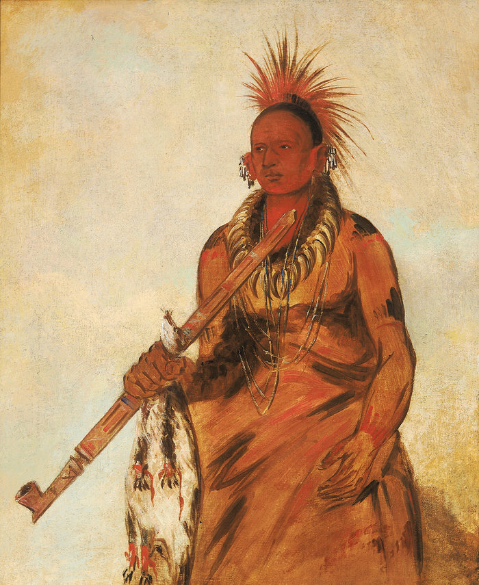 George Catlin:No-o-mún-nee, Walks in the Rain, a Warrior,16x12