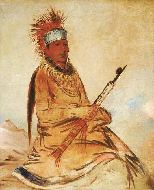 George Catlin:W'y-ee-yogh, Man of Sense, a Brave,16x12"(A3)Poster