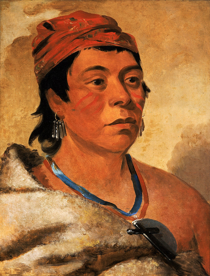 George Catlin:Round Island, a Warrior,16x12