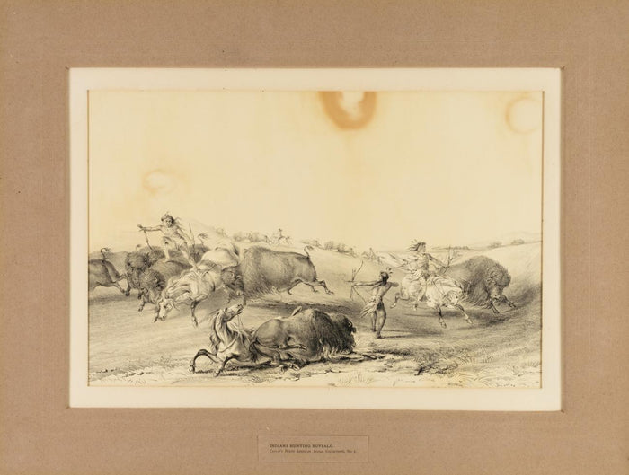 George Catlin:Indians Hunting Buffalo--no. 7,16x12