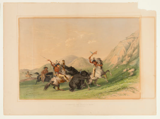 George Catlin:Attacking the Grizzly Bear--no. 19,16x12"(A3)Poster