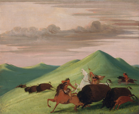 George Catlin:Buffalo Chase, Bull Protecting a Cow and Calf,16x12"(A3)Poster