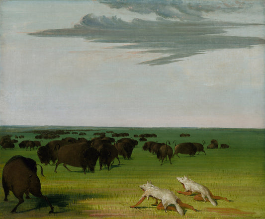 George Catlin:Buffalo Hunt under the Wolf-skin Mask,16x12"(A3)Poster