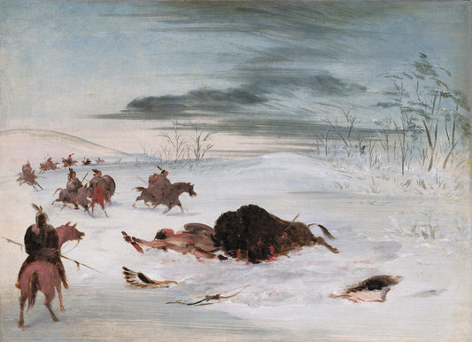 George Catlin:Dying Buffalo Bull in a Snowdrift,16x12"(A3)Poster