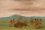 George Catlin:Medicine Buffalo of the Sioux,16x12"(A3)Poster