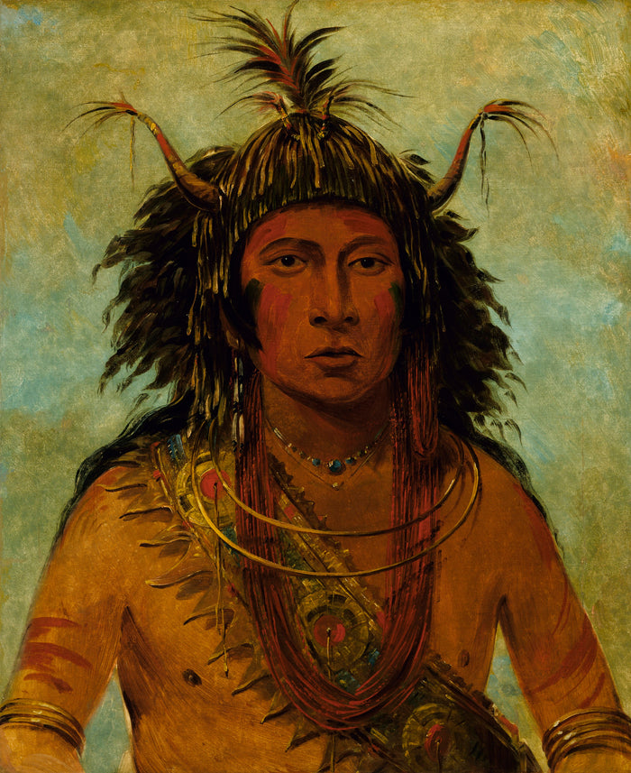 George Catlin:Say-say-gon, Hail Storm, War Chief,16x12