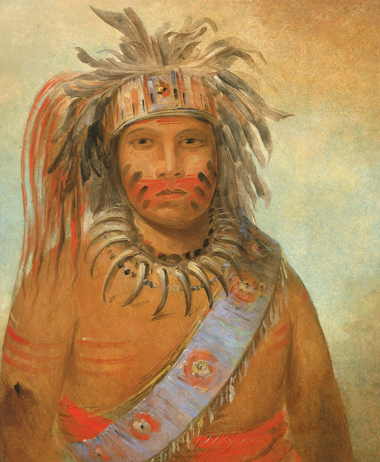 George Catlin:Au-nim-muck-kwa-um, Tempest Bird,16x12"(A3)Poster