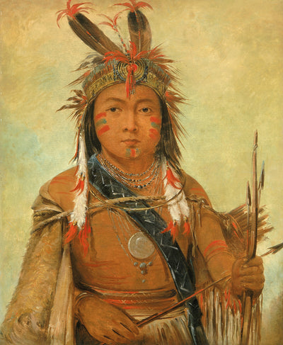 George Catlin:Ud-je-jock, Pelican, a Boy,16x12"(A3)Poster