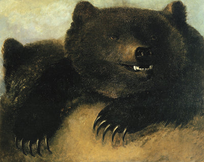 George Catlin:Weapons and Physiognomy of the Grizzly Bear,16x12"(A3)Poster