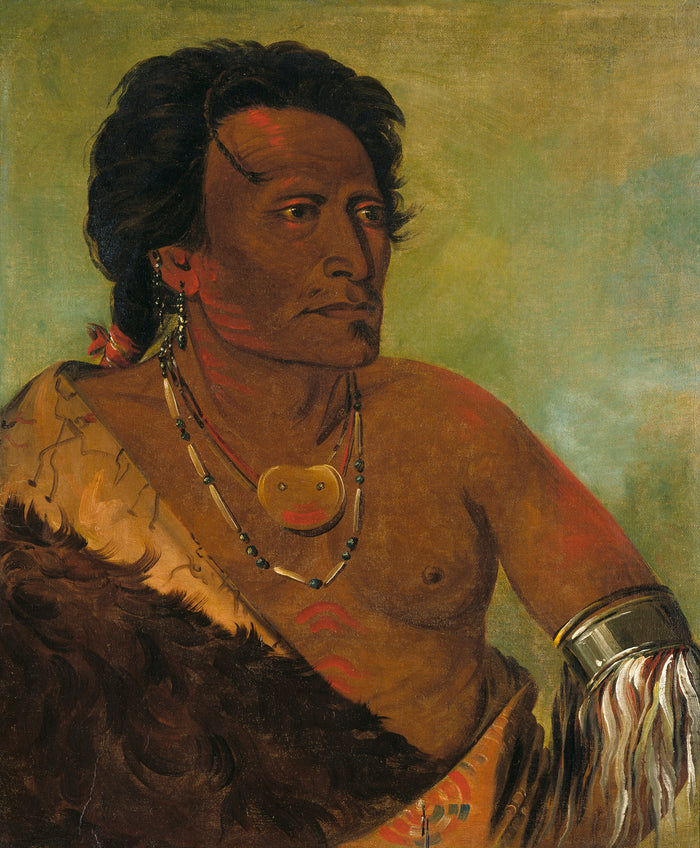 George Catlin:Sky-se-ró-ka, Second Chief of the Tribe,16x12