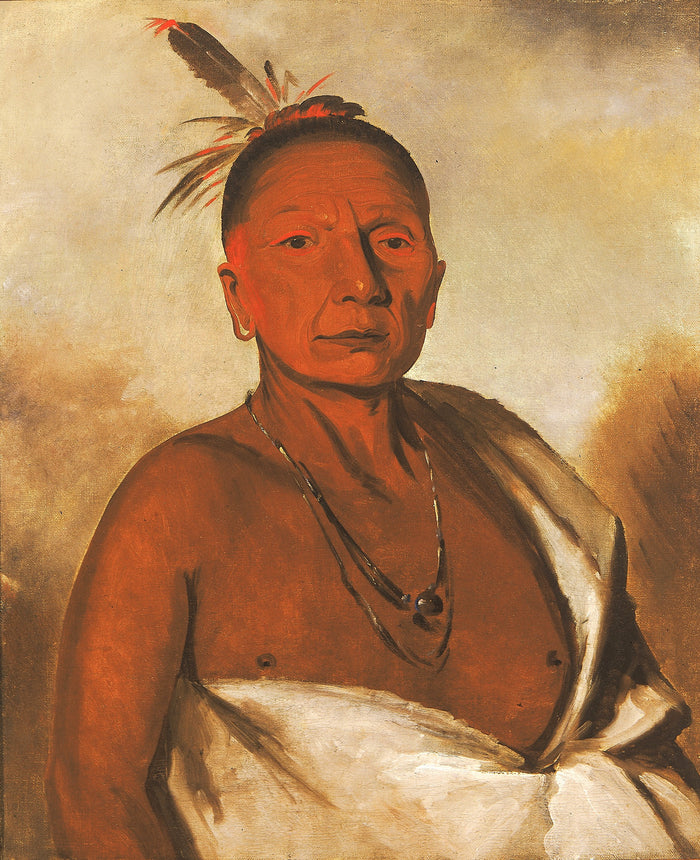 George Catlin:Kid-á-day, a Distinguished Brave,16x12